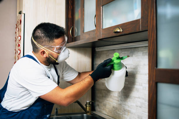 Best Pest Removal Services  in Blue Mound, IL