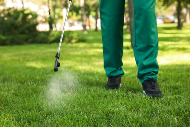 Best Pest Prevention Services  in Blue Mound, IL