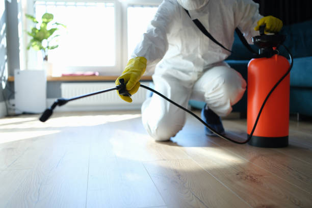 Best Exterminator Services  in Blue Mound, IL
